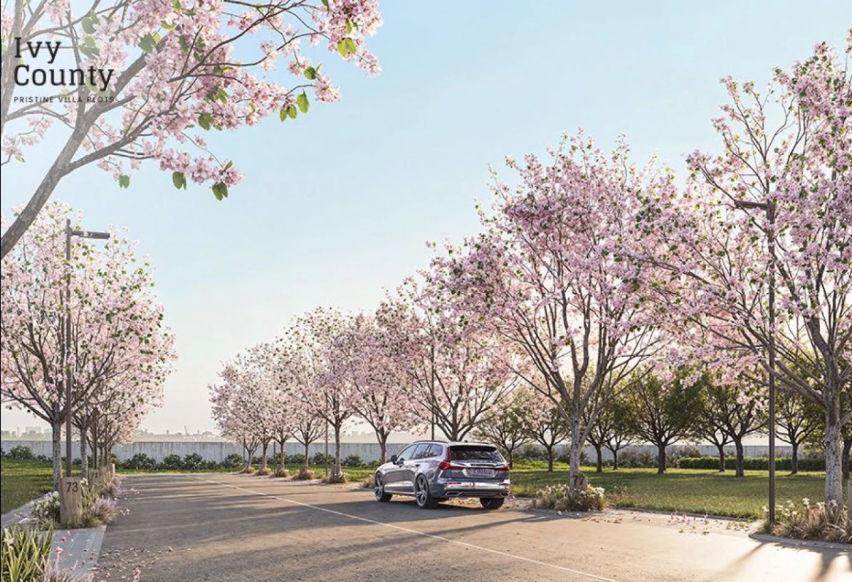 Property-slider-2025-07-15-04-49-11-6480